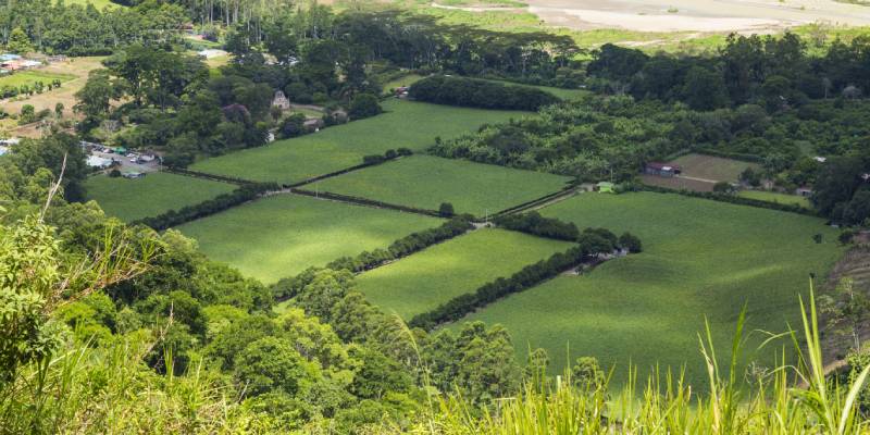 Premium Farmland