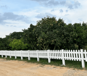 15 Acre Ready To Move Farmlands in Bangalore