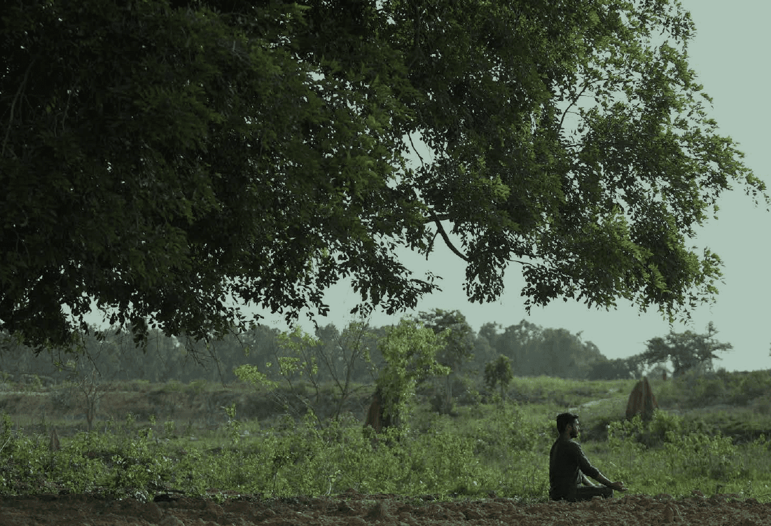 Home - Sanjeevani Farms