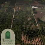 Tapovan -A Fully Managed Farmland Community