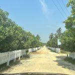 Fully managed farmland in bangalore