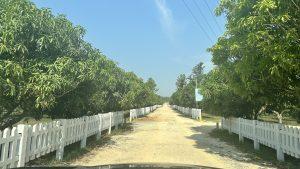 Fully managed farmland in bangalore