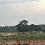 Farm plots in Bangalore