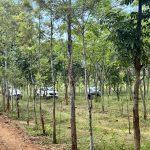 SilverWoods farmland near bangalore