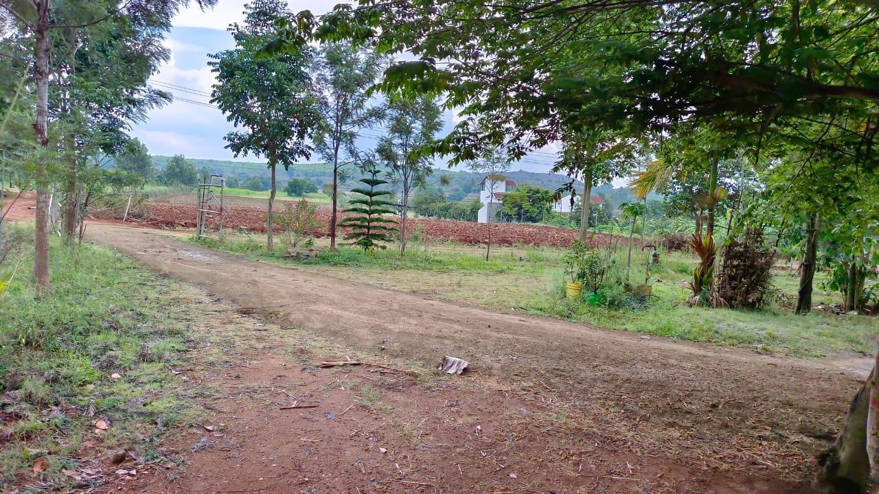 Farm plots in denkanikottai