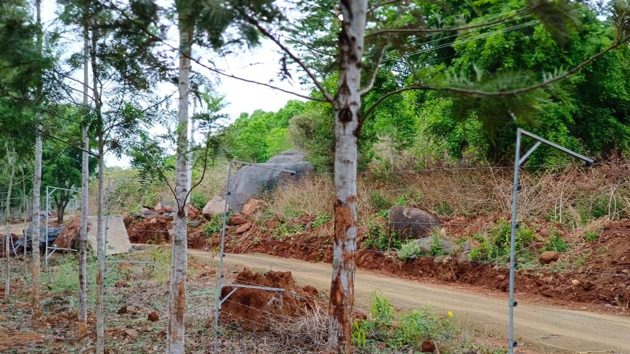 SilverWoods in denkanikottai