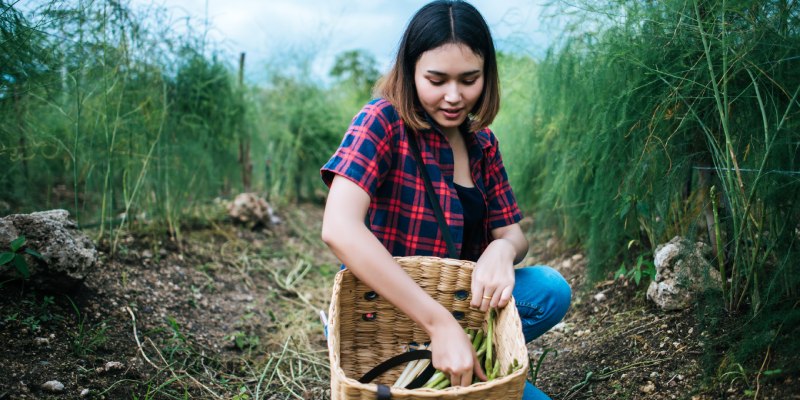 Benefits of Choosing Sanjeevani Farms Managed Farmland