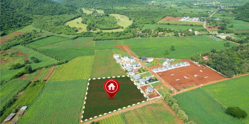 7 Tips for Choosing the Best Managed Farmland Near Bangalore