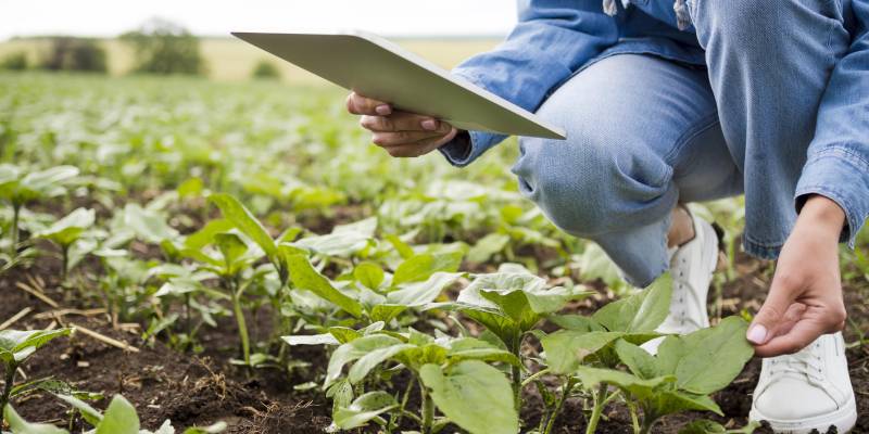 Best Practices for Managing Farmland