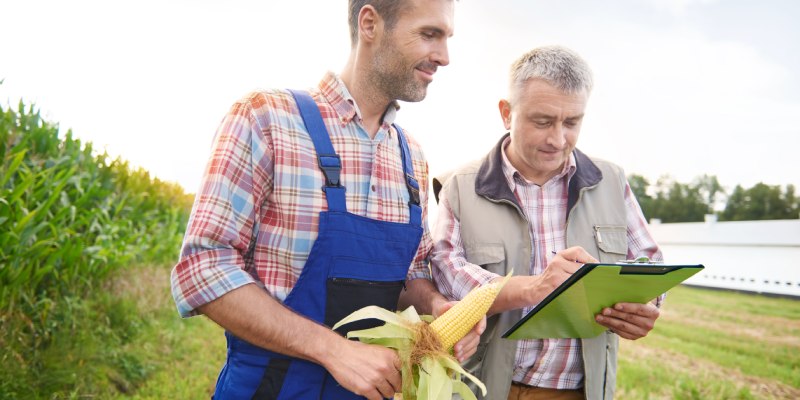 Verifying Land Ownership of Agricultural Land Near Bangalore