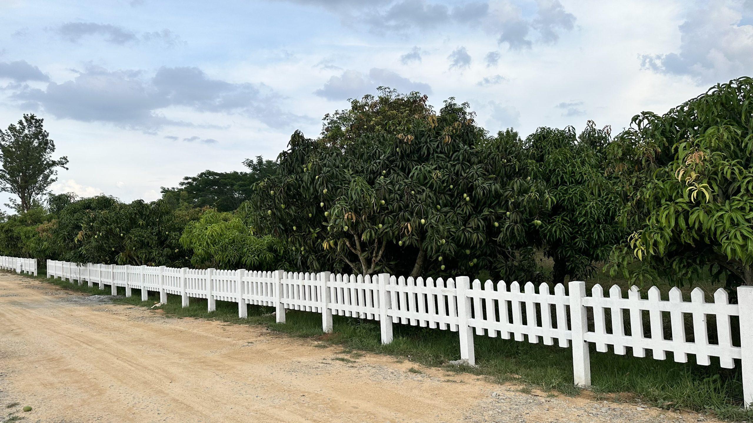 Why Invest in Managed Farmlands