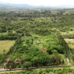 Form Plot and Farmland near Bangalore