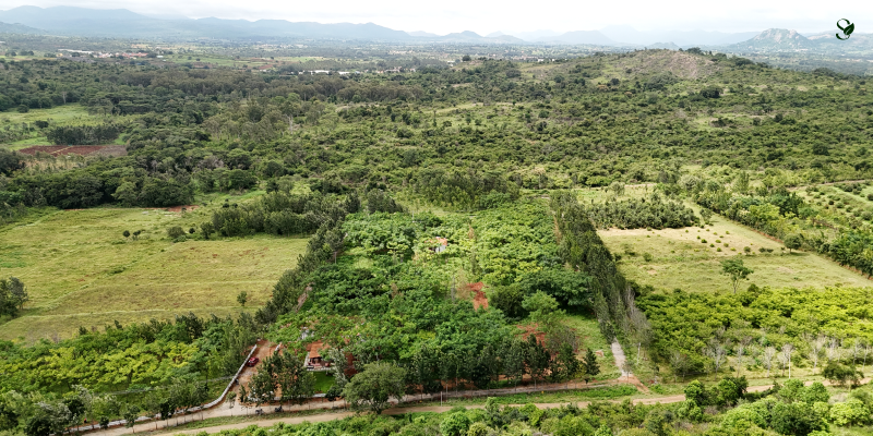 Form Plot and Farmland near Bangalore