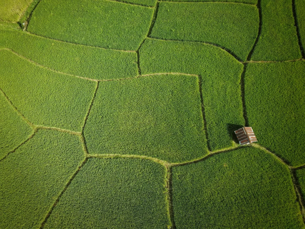 Agricultural land in Karnataka