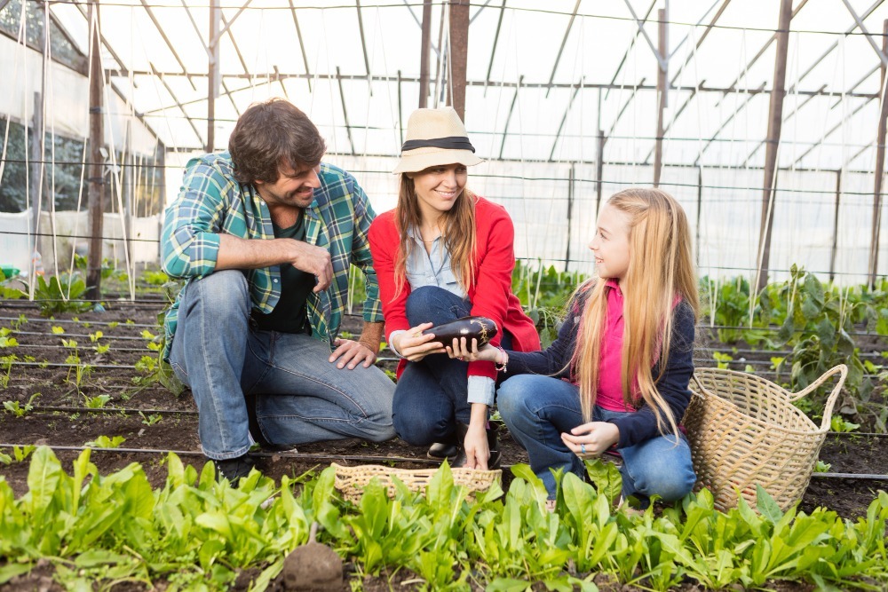 Community-Supported Agriculture (CSA)