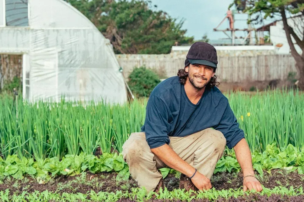 Crop-Based Organic Farming