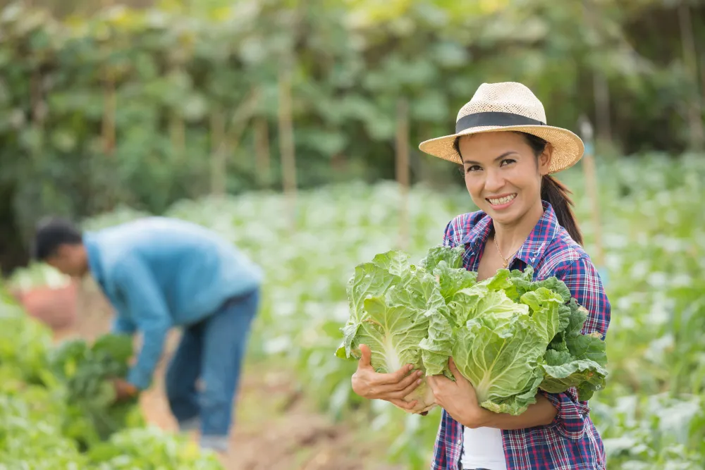 Organic Farming Basics