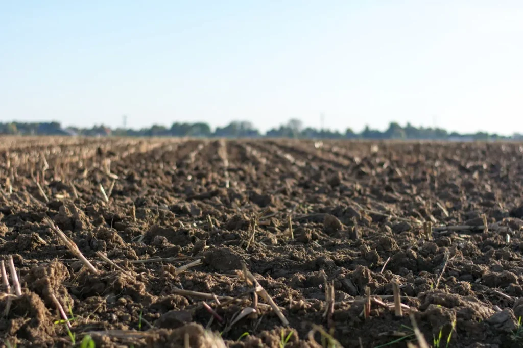 Reduced Tillage in sustainable farming