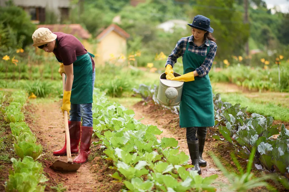 Types of Organic Farming