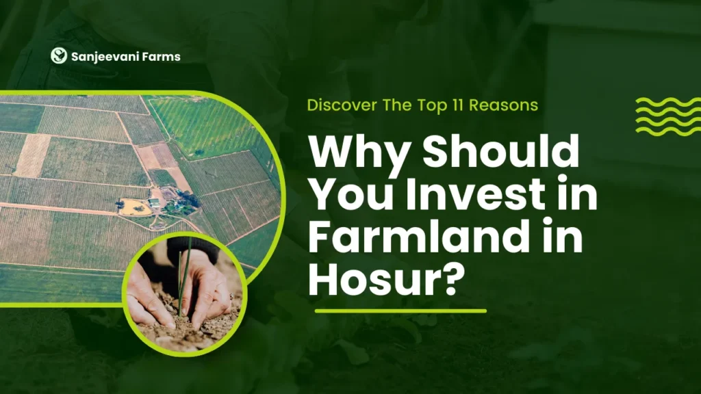 Why Should You Invest in Farmland in Hosur?