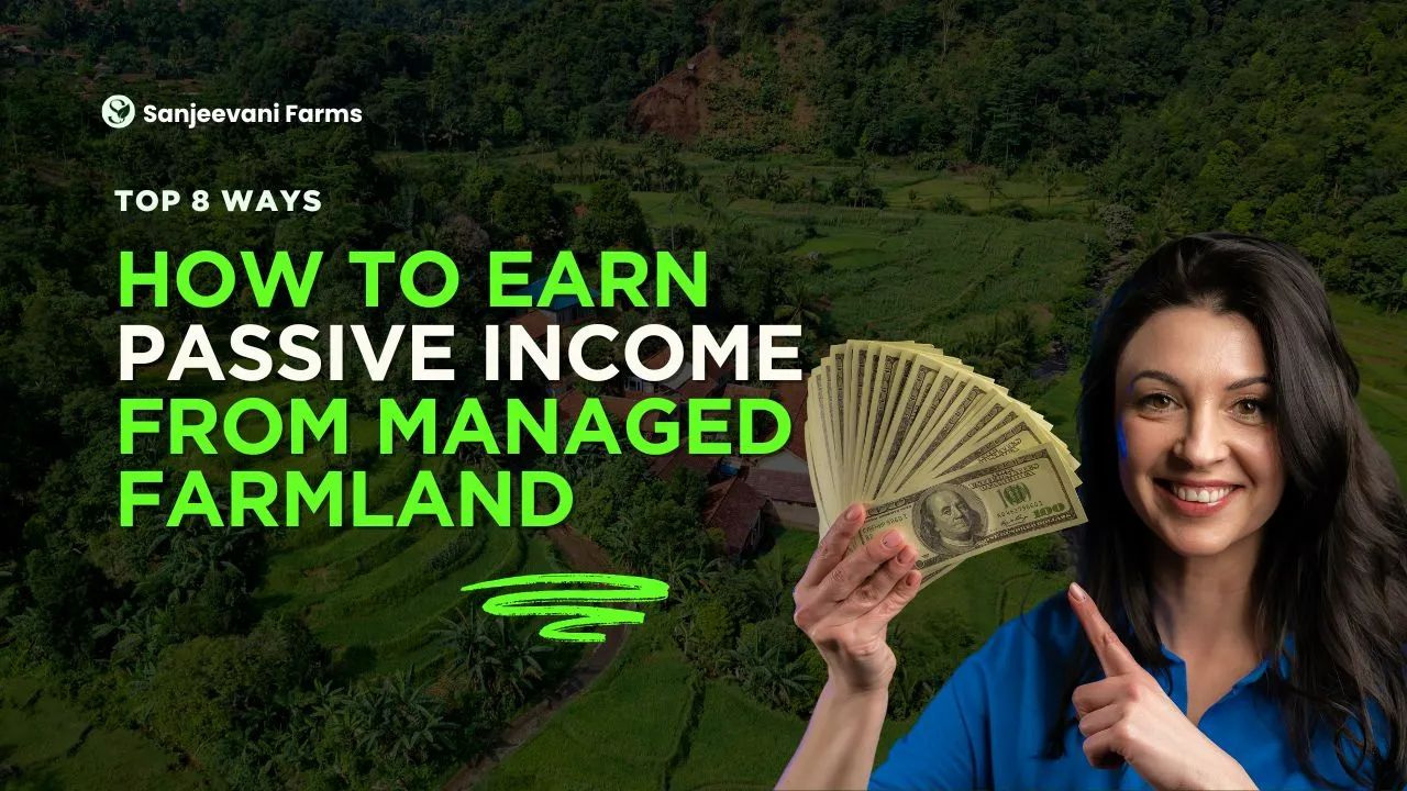 How to Earn Reliable Passive Income from Managed Farmland