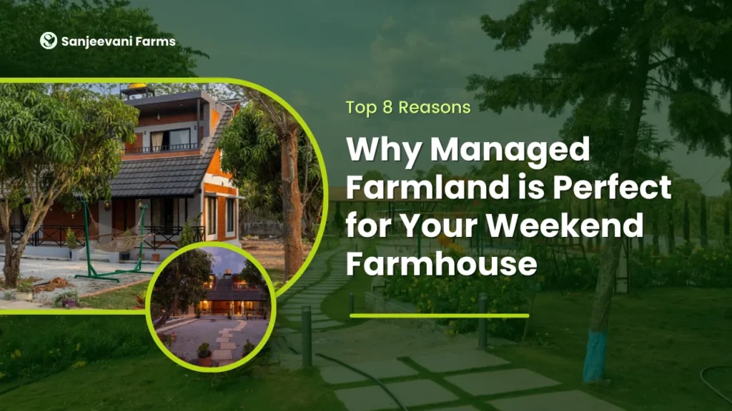 Why Managed Farmland Is Perfect for Your Weekend Farmhouse