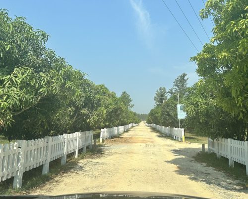 Fully managed farmland in bangalore